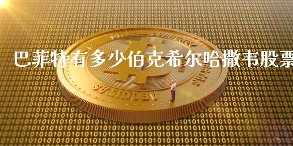 巴菲特有多少伯克希尔哈撒韦股票_https://www.fsyjjx.cn_股市分析_第1张