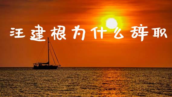汪建根为什么辞职_https://www.fsyjjx.cn_期货研报_第1张