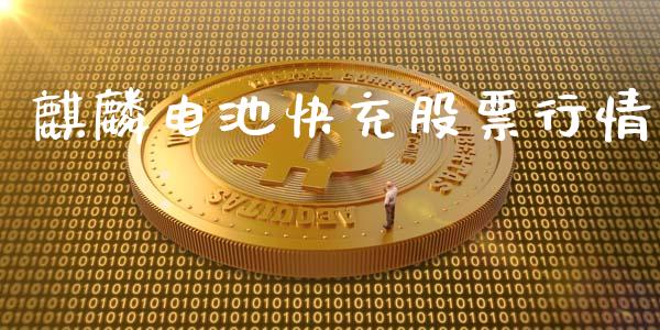 麒麟电池快充股票行情_https://www.fsyjjx.cn_股票指导_第1张