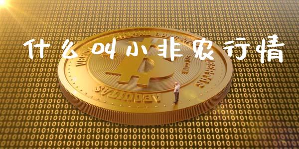 什么叫小非农行情_https://www.fsyjjx.cn_股市分析_第1张