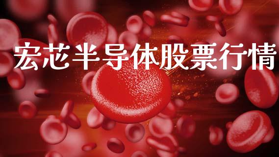 宏芯半导体股票行情_https://www.fsyjjx.cn_股票指导_第1张