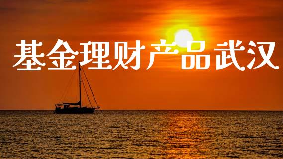 基金理财产品武汉_https://www.fsyjjx.cn_问财精选_第1张