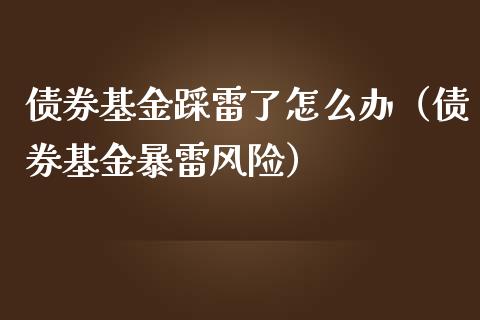 债券基金踩雷了怎么办（债券基金暴雷风险）_https://www.fsyjjx.cn_问财精选_第1张