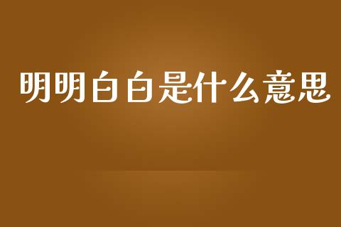 明明白白是什么意思_https://www.fsyjjx.cn_股票指导_第1张