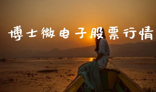 博士微电子股票行情_https://www.fsyjjx.cn_股市分析_第1张