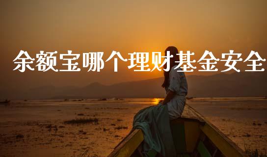 余额宝哪个理财基金安全_https://www.fsyjjx.cn_理财资讯_第1张