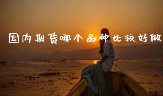 国内期货哪个品种比较好做_https://www.fsyjjx.cn_期货研报_第1张