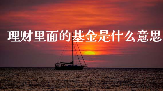 理财里面的基金是什么意思_https://www.fsyjjx.cn_理财资讯_第1张