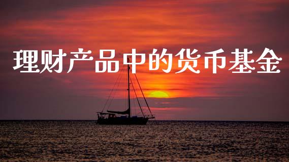 理财产品中的货币基金_https://www.fsyjjx.cn_问财精选_第1张