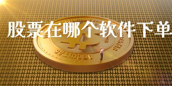 股票在哪个软件下单_https://www.fsyjjx.cn_期货资讯_第1张