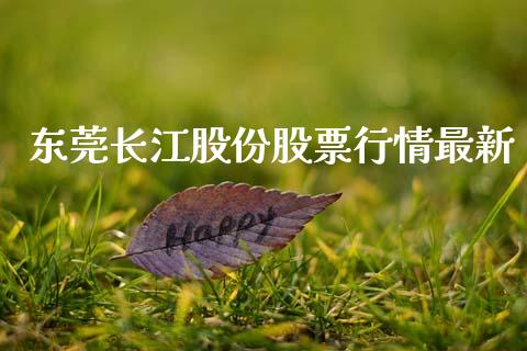 东莞长江股份股票行情最新_https://www.fsyjjx.cn_股票指导_第1张