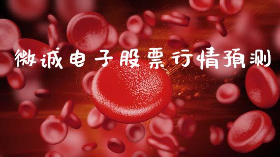 微诚电子股票行情预测_https://www.fsyjjx.cn_股票指导_第1张