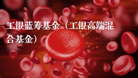 工银蓝筹基金（工银高端混合基金）_https://www.fsyjjx.cn_理财资讯_第1张