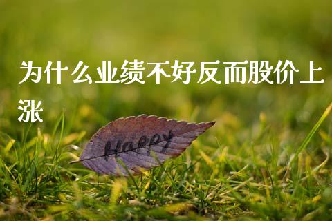为什么业绩不好反而股价上涨_https://www.fsyjjx.cn_股票指导_第1张