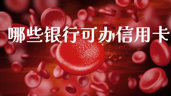 哪些银行可办信用卡_https://www.fsyjjx.cn_股指期货_第1张