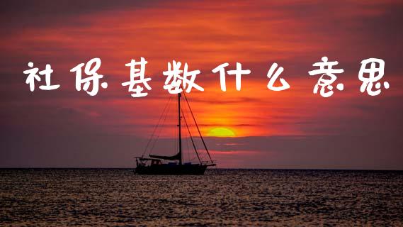 社保基数什么意思_https://www.fsyjjx.cn_期货在线_第1张