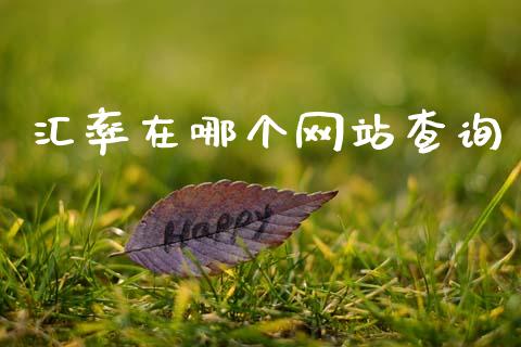 汇率在哪个网站查询_https://www.fsyjjx.cn_股票指导_第1张