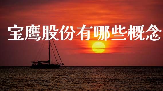宝鹰股份有哪些概念_https://www.fsyjjx.cn_股指期货_第1张