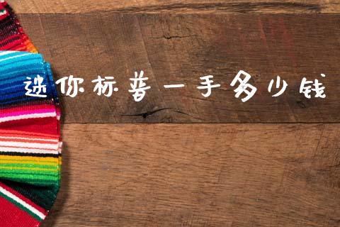 迷你标普一手多少钱_https://www.fsyjjx.cn_股市分析_第1张