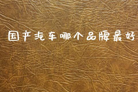 国产汽车哪个品牌最好_https://www.fsyjjx.cn_期货研报_第1张