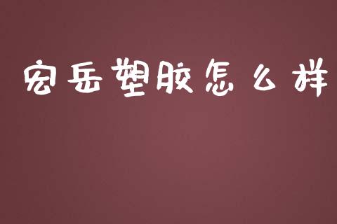 宏岳塑胶怎么样_https://www.fsyjjx.cn_问财精选_第1张
