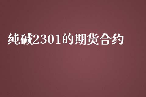 纯碱2301的期货合约_https://www.fsyjjx.cn_期货资讯_第1张