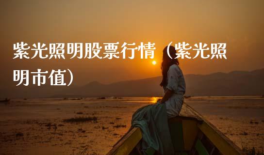 紫光照明股票行情（紫光照明市值）_https://www.fsyjjx.cn_股市分析_第1张