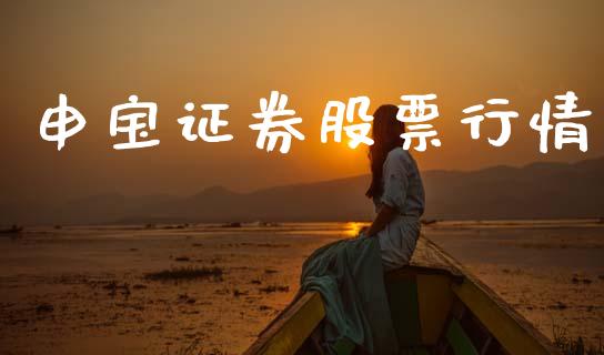 申宝证券股票行情_https://www.fsyjjx.cn_股市分析_第1张