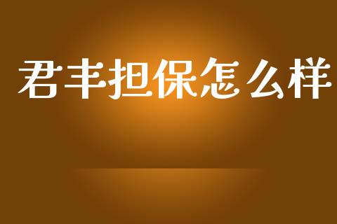 君丰担保怎么样_https://www.fsyjjx.cn_股市分析_第1张