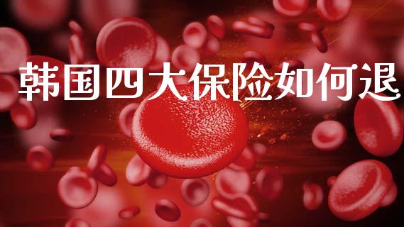 韩国四大保险如何退_https://www.fsyjjx.cn_股票指导_第1张