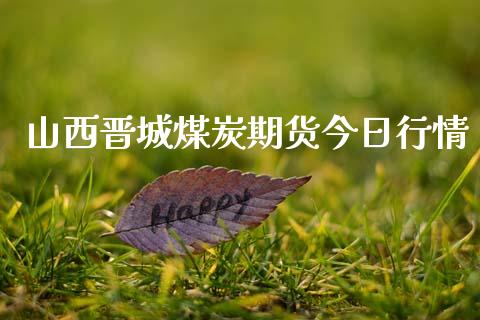 山西晋城煤炭期货今日行情_https://www.fsyjjx.cn_期货资讯_第1张