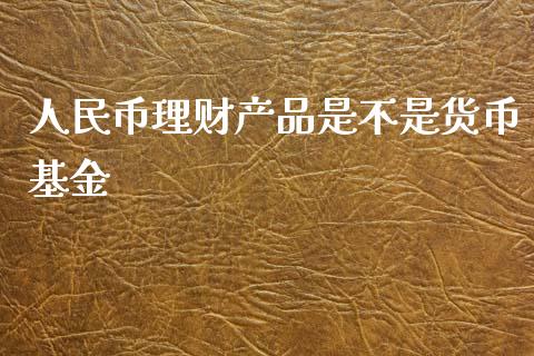 人民币理财产品是不是货币基金_https://www.fsyjjx.cn_理财资讯_第1张