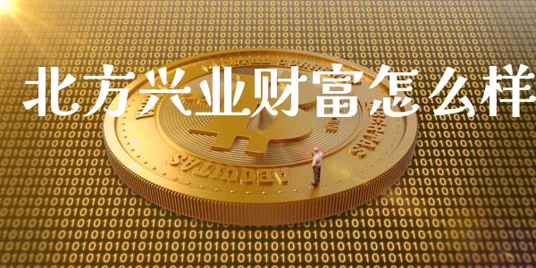北方兴业财富怎么样_https://www.fsyjjx.cn_股票指导_第1张