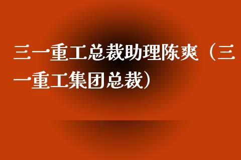 三一重工总裁助理陈爽（三一重工集团总裁）_https://www.fsyjjx.cn_股市分析_第1张
