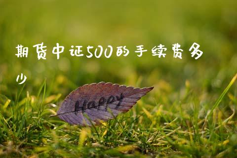 期货中证500的手续费多少_https://www.fsyjjx.cn_期货研报_第1张
