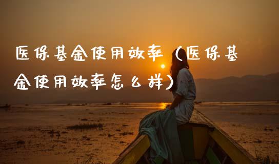 医保基金使用效率（医保基金使用效率怎么样）_https://www.fsyjjx.cn_理财资讯_第1张