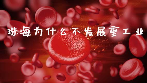 珠海为什么不发展重工业_https://www.fsyjjx.cn_股指期货_第1张