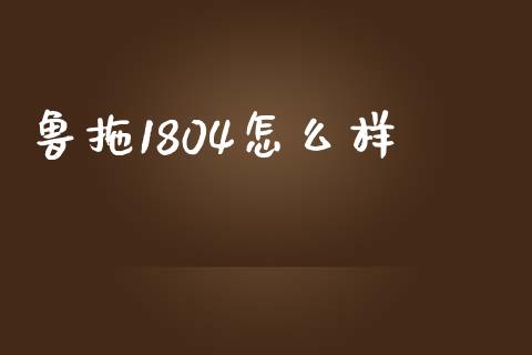 鲁拖1804怎么样_https://www.fsyjjx.cn_期货在线_第1张