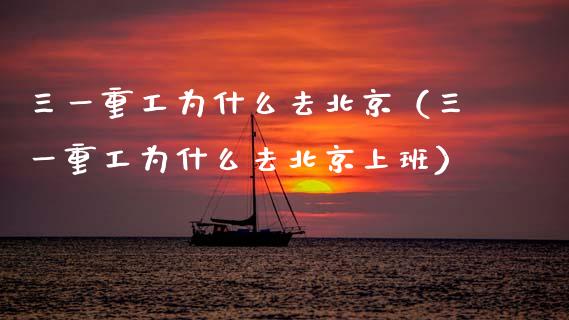 三一重工为什么去北京（三一重工为什么去北京上班）_https://www.fsyjjx.cn_股指期货_第1张