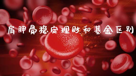 肩胛骨稳定理财和基金区别_https://www.fsyjjx.cn_理财资讯_第1张