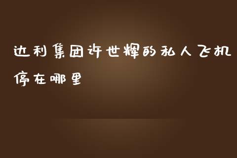 达利集团许世辉的私人飞机停在哪里_https://www.fsyjjx.cn_股票指导_第1张