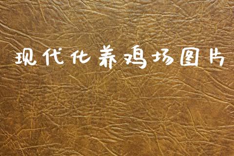现代化养鸡场图片_https://www.fsyjjx.cn_期货资讯_第1张