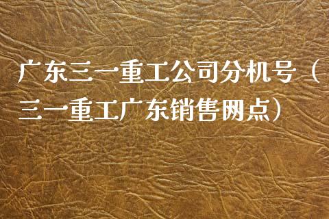 广东三一重工公司分机号（三一重工广东销售网点）_https://www.fsyjjx.cn_股票指导_第1张