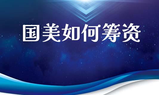 国美如何筹资_https://www.fsyjjx.cn_股指期货_第1张