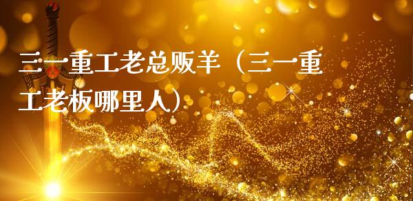 三一重工老总贩羊（三一重工老板哪里人）_https://www.fsyjjx.cn_股票指导_第1张