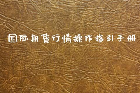 国际期货行情操作指引手册_https://www.fsyjjx.cn_期货研报_第1张