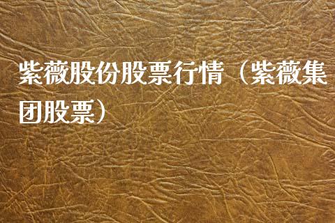 紫薇股份股票行情（紫薇集团股票）_https://www.fsyjjx.cn_股市分析_第1张