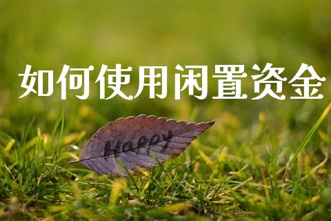 如何使用闲置资金_https://www.fsyjjx.cn_股票指导_第1张