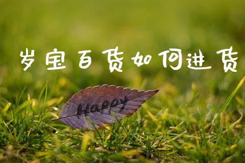 岁宝百货如何进货_https://www.fsyjjx.cn_期货在线_第1张