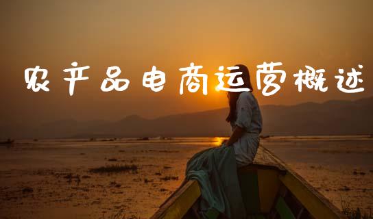 农产品电商运营概述_https://www.fsyjjx.cn_期货研报_第1张